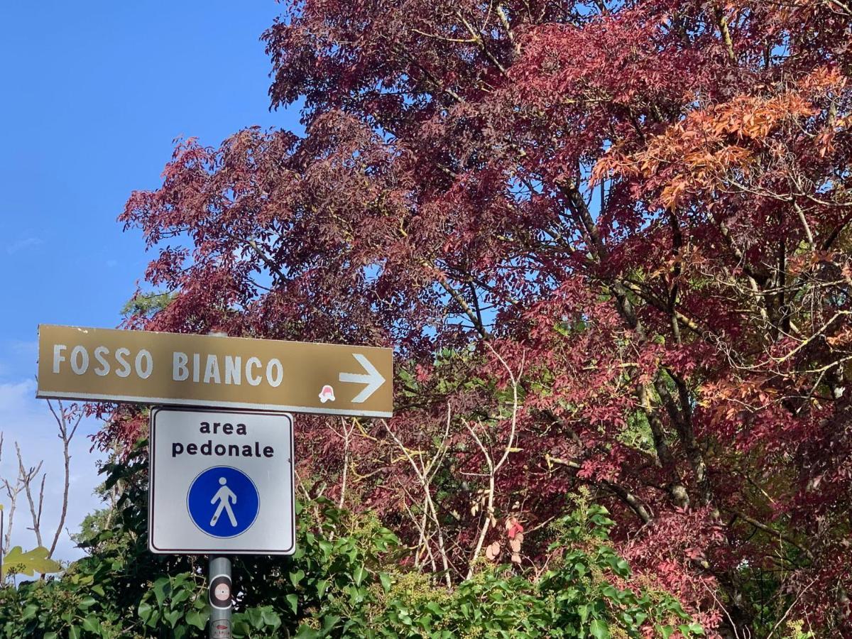 Amiter Bagni San Filippo公寓 外观 照片